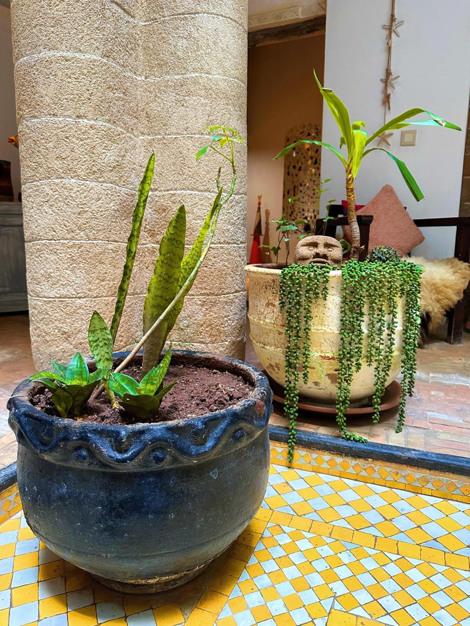 Les Terrasses D'Essaouira - Yoga Studio 외부 사진