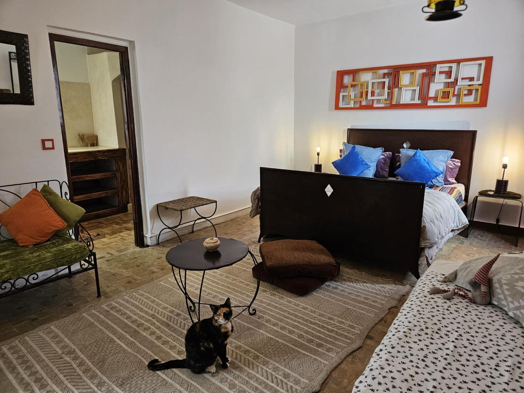 Les Terrasses D'Essaouira - Yoga Studio 외부 사진